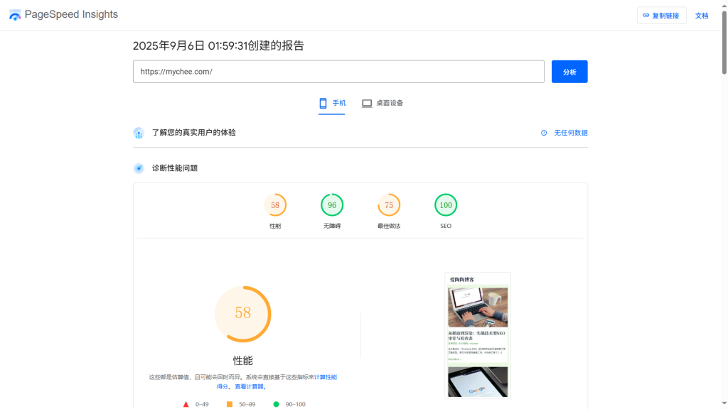 2025年9月6日PageSpeed Insights网站检测截图