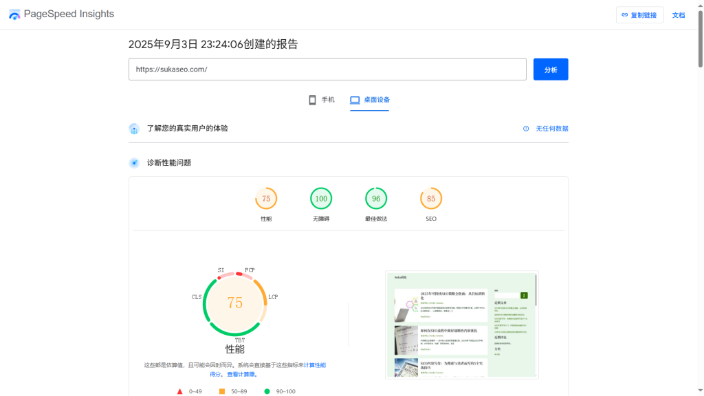 PageSpeed Insights网站检测截图
